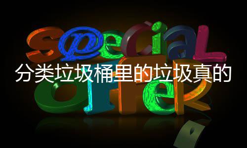 吗桶里圾真垃圾分类分类的垃的会处置