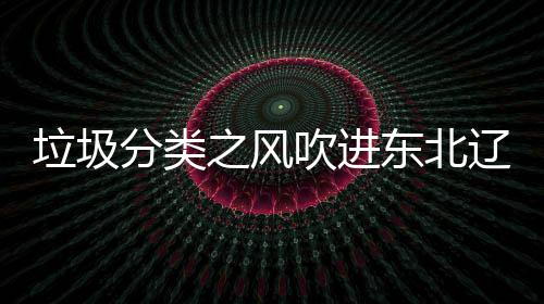 启用圾桶之风垃圾辽宁类垃分类东北吹进沈阳四分